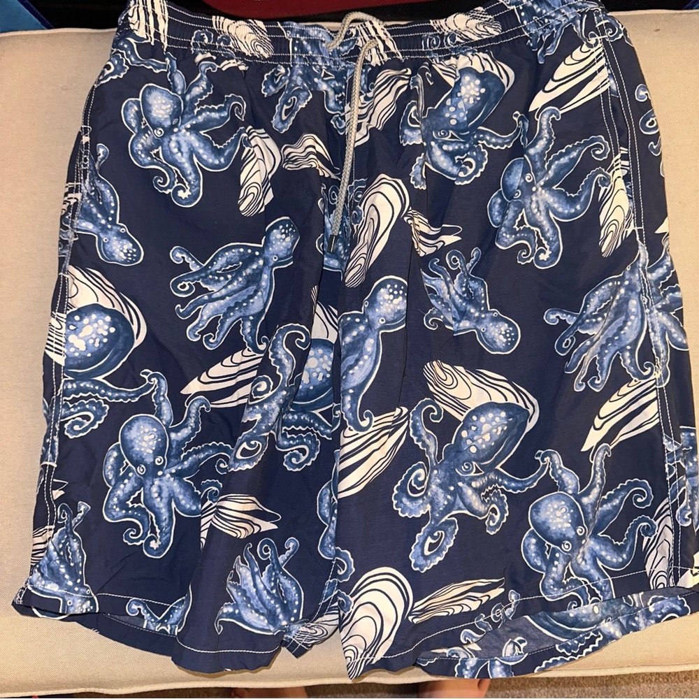 Mens Vilebrequin Swim Trunks